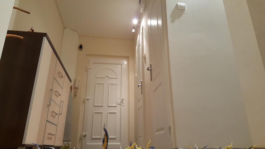 Aquarius Apartman 塞格德 外观 照片